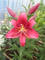 [1850 Montezuma No01.JPG]